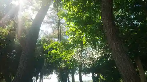 若宮神明社のその他建物