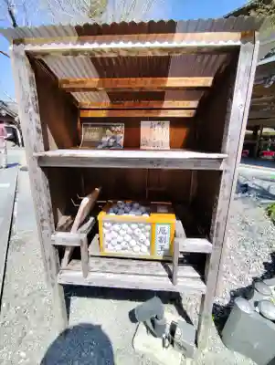 岩本寺の{uncategorized: "未分類", other: "その他", undefined: "問題あり", building: "その他建物", grave: "お墓", sacred_gate: "鳥居", guardian: "狛犬", statue: "像", buddha: "仏像", history: "歴史", nature: "自然", garden: "庭園", animal: "動物", pagoda: "塔", temizu: "手水舎", mountain_gate: "山門・神門", sanctuary: "本殿・本堂", subordinate: "末社・摂社", art: "芸術", scenery: "景色", jizo: "地蔵", ema: "絵馬", goshuin: "御朱印", omikuji: "おみくじ", items: "授与品その他", amulet: "お守り", goshuincho: "御朱印帳", eats: "食事", festival: "お祭り", votive_dance: "神楽", shichigosan: "七五三参", wedding: "結婚式", experience: "体験その他", initially: "初詣", around: "周辺", anti_infection: "感染症対策"}