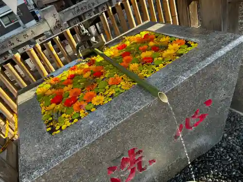 高円寺氷川神社の{uncategorized: "未分類", other: "その他", undefined: "問題あり", building: "その他建物", grave: "お墓", sacred_gate: "鳥居", guardian: "狛犬", statue: "像", buddha: "仏像", history: "歴史", nature: "自然", garden: "庭園", animal: "動物", pagoda: "塔", temizu: "手水舎", mountain_gate: "山門・神門", sanctuary: "本殿・本堂", subordinate: "末社・摂社", art: "芸術", scenery: "景色", jizo: "地蔵", ema: "絵馬", goshuin: "御朱印", omikuji: "おみくじ", items: "授与品その他", amulet: "お守り", goshuincho: "御朱印帳", eats: "食事", festival: "お祭り", votive_dance: "神楽", shichigosan: "七五三参", wedding: "結婚式", experience: "体験その他", initially: "初詣", around: "周辺", anti_infection: "感染症対策"}