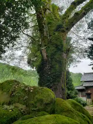 宮島神社の自然