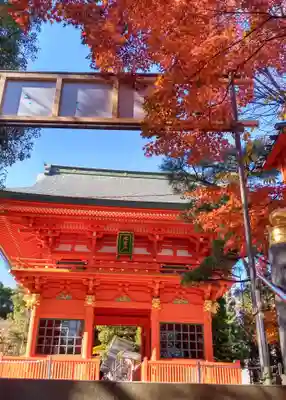 穴八幡宮の山門・神門