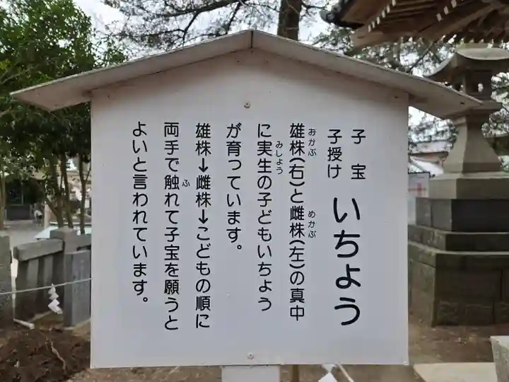 玉前神社(千葉県)
