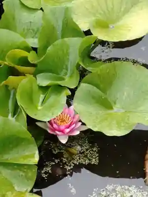 勧修寺(京都府)