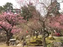 金澤神社の庭園