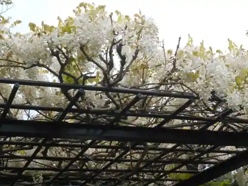 極楽寺（霊鷲山感應院極楽律寺）の庭園