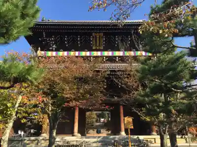 くろ谷 金戒光明寺の山門・神門