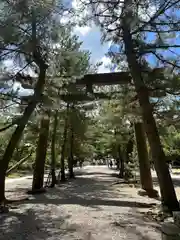 出雲大社(島根県)