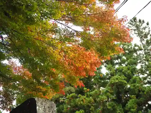 土津神社｜こどもと出世の神さまの自然