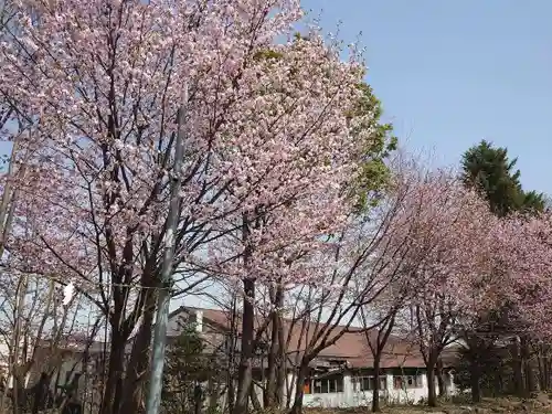 石山神社(北海道)