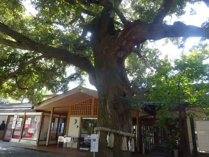 座間神社の自然