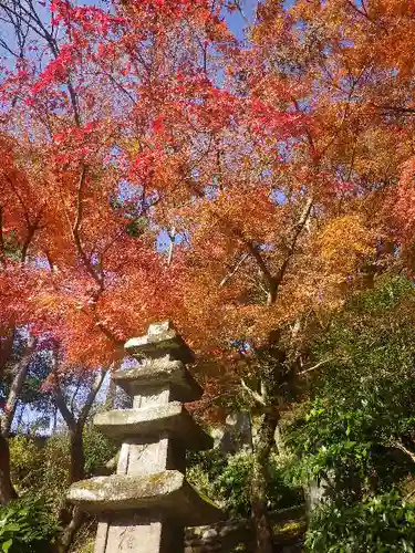 建長寺 半僧坊の自然
