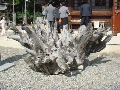 姉埼神社の自然