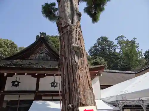 大神神社(奈良県)