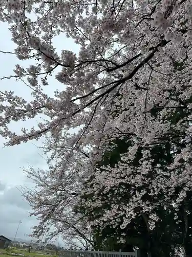 杉原神社(富山県)
