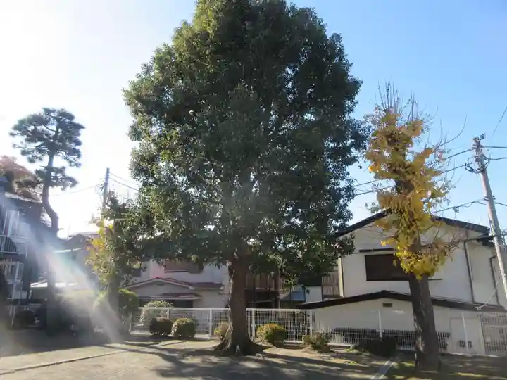 糸縄神社の自然