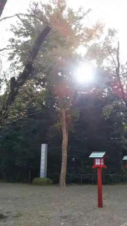 鷲宮神社の自然