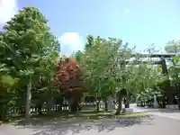 烈々布神社の自然