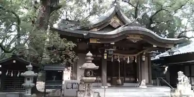 春日神社の本殿・本堂