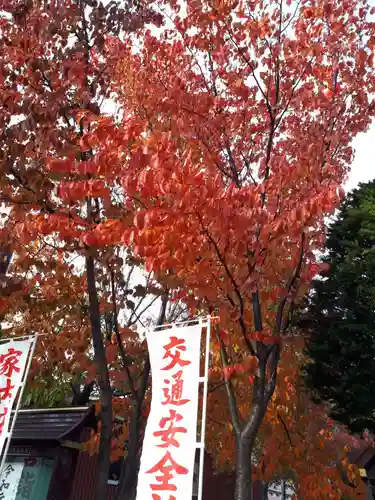 新川皇大神社の自然