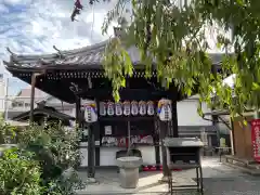 地蔵院（椿寺）(京都府)