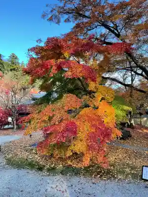 永源寺(滋賀県)