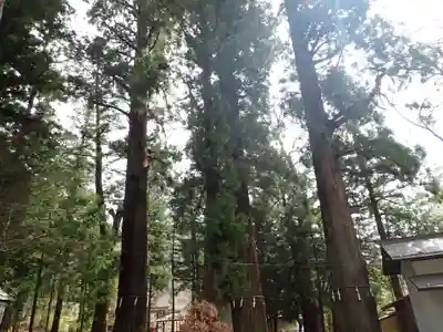 河口浅間神社(山梨県)