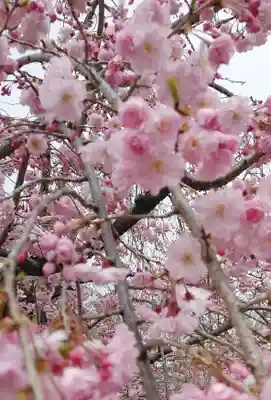 豊國神社(大阪府)