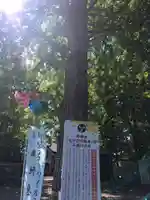 星置神社の自然