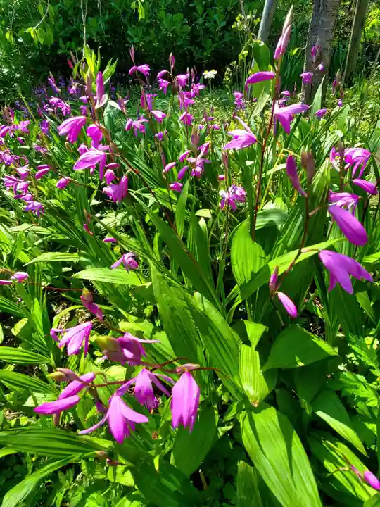 開成山大神宮(福島県)