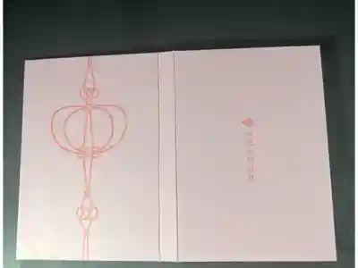 川越氷川神社の御朱印帳です
普通　桃