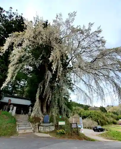 堂山王子神社の自然