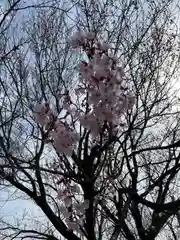 高靇神社(千葉県)