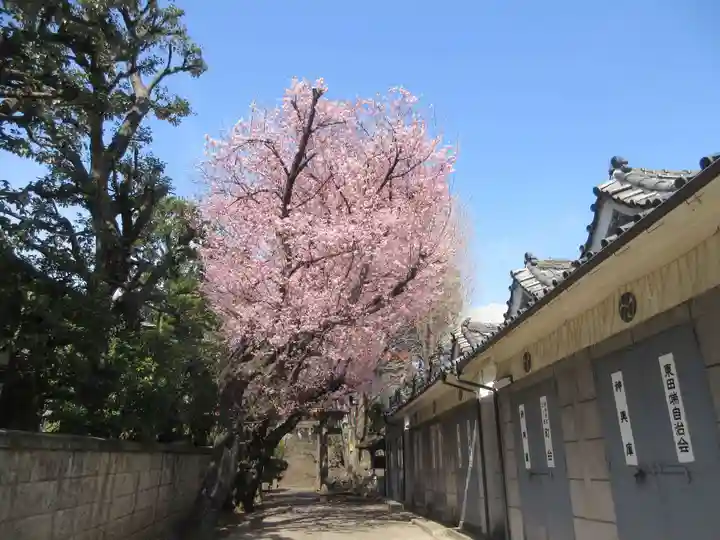 田端八幡神社(東京都)