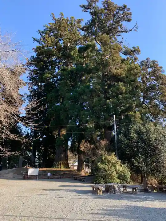 村山浅間神社の自然