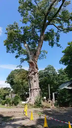 廣瀬神社のその他建物