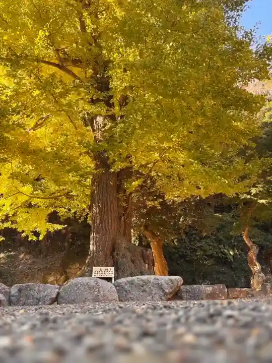 安房神社(千葉県)