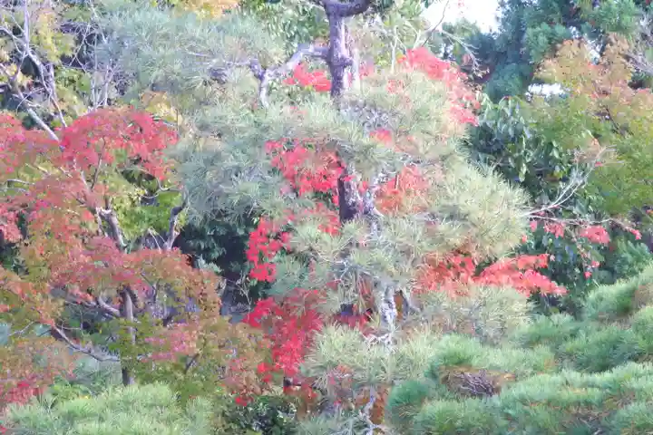 仁和寺(京都府)