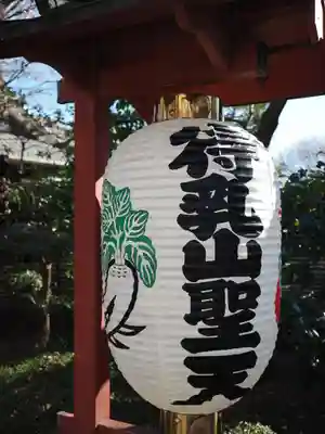 待乳山聖天（本龍院）(東京都)