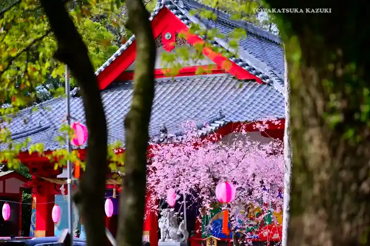米之宮浅間神社(静岡県)