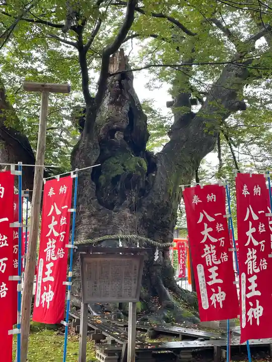 秩父今宮神社の自然