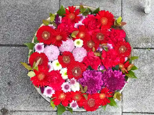 成田山深川不動堂（新勝寺東京別院）の手水舎