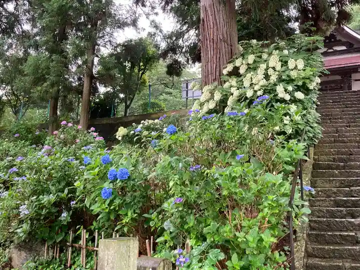 開眼寺(長野県)