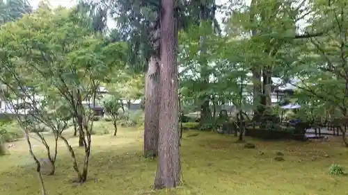 雲洞庵の庭園