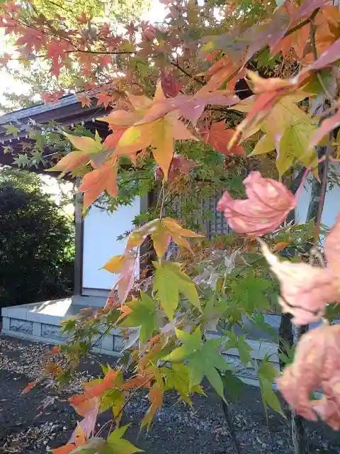 金蔵院の末社・摂社