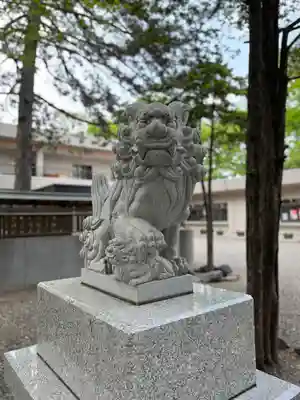 新琴似神社の狛犬