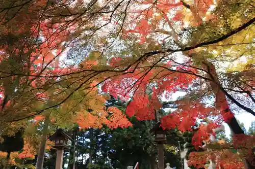 三春大神宮の庭園