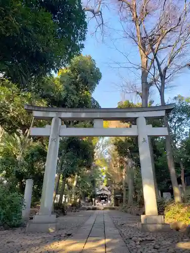 代々木八幡宮の鳥居
