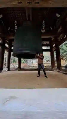 知恩院(京都府)