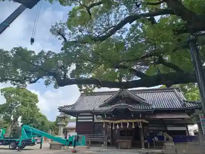 百舌鳥八幡宮(大阪府)