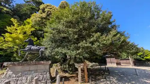 山王宮日吉神社(京都府)